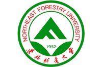 必有历史